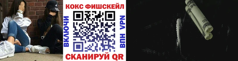купить   Ряжск  COCAIN Fish Scale 
