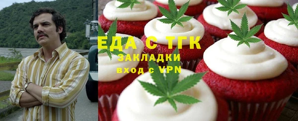 хмурый Алексин